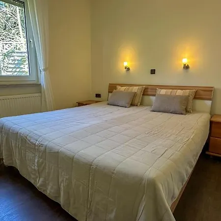 Benedenappartement In Met Uitzicht En Balkon Winterberg